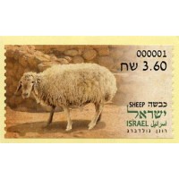 2024. 03. Animals from the Bible (3) - Sheep (Oveja)